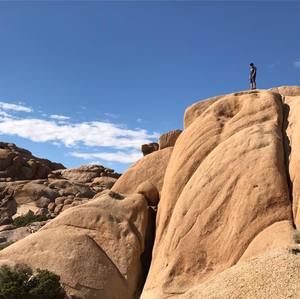 Meet your Posher, David